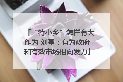 “特小乡”怎样有大作为 刘亭：有为政府和有效市场相向发力