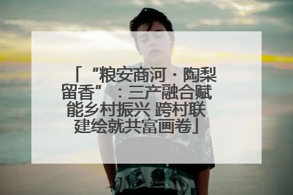 “粮安商河・陶梨留香”：三产融合赋能乡村振兴 跨村联建绘就共富画卷