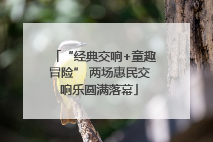 “经典交响+童趣冒险” 两场惠民交响乐圆满落幕