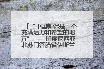 “中国新疆是一个充满活力和希望的地方”——印度尼西亚北苏门答腊省伊斯兰教代表团参访新疆