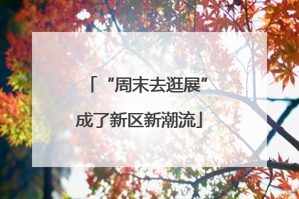“周末去逛展”成了新区新潮流