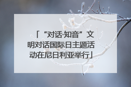 “对话·知音”文明对话国际日主题活动在尼日利亚举行