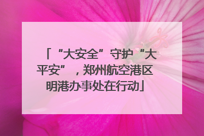 “大安全”守护“大平安”，郑州航空港区明港办事处在行动