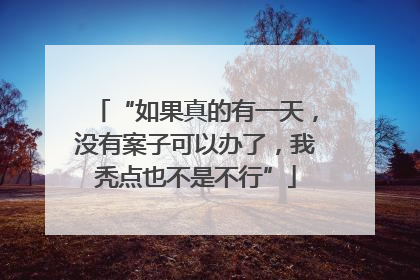 “如果真的有一天，没有案子可以办了，我秃点也不是不行”