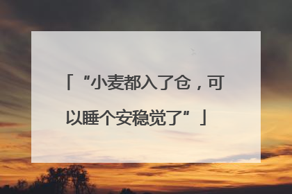 “小麦都入了仓，可以睡个安稳觉了”