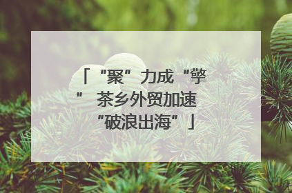 “聚”力成“擎” 茶乡外贸加速“破浪出海”