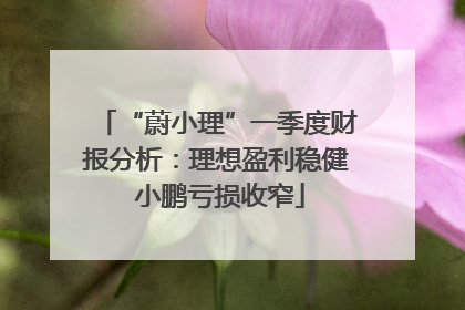 “蔚小理”一季度财报分析：理想盈利稳健 小鹏亏损收窄