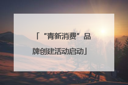 “青新消费”品牌创建活动启动