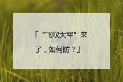 “飞蚁大军”来了，如何防？
