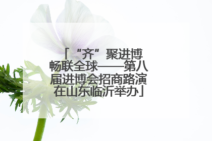 “齐”聚进博 畅联全球——第八届进博会招商路演在山东临沂举办