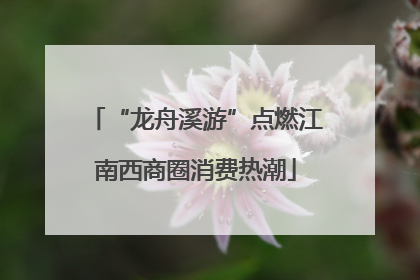 “龙舟溪游”点燃江南西商圈消费热潮
