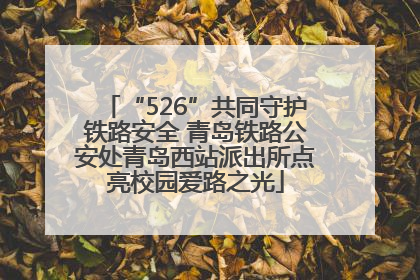 “526”共同守护铁路安全 青岛铁路公安处青岛西站派出所点亮校园爱路之光