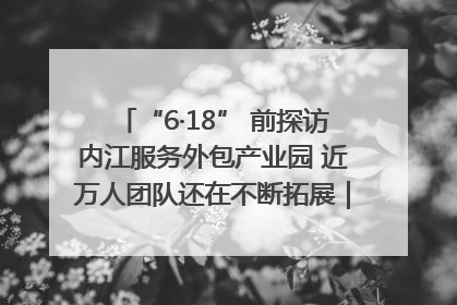 “6·18” 前探访内江服务外包产业园 近万人团队还在不断拓展｜内江东兴“红”在哪⑤