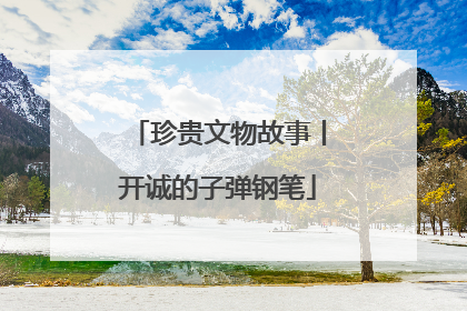 珍贵文物故事丨开诚的子弹钢笔