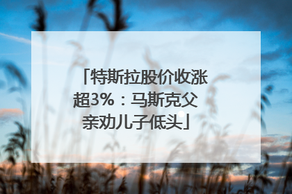 特斯拉股价收涨超3%：马斯克父亲劝儿子低头
