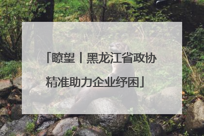 瞭望丨黑龙江省政协精准助力企业纾困