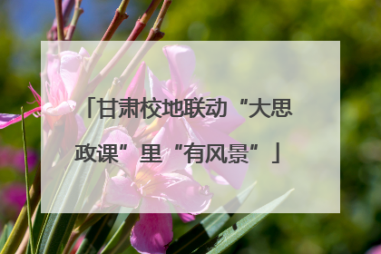 甘肃校地联动“大思政课”里“有风景”