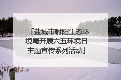 盐城市射阳生态环境局开展六五环境日主题宣传系列活动