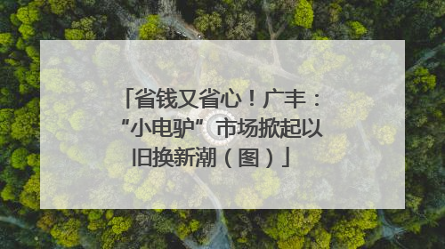 省钱又省心！广丰：“小电驴”市场掀起以旧换新潮（图）