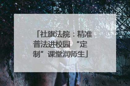 社旗法院：精准普法进校园 “定制”课堂润师生
