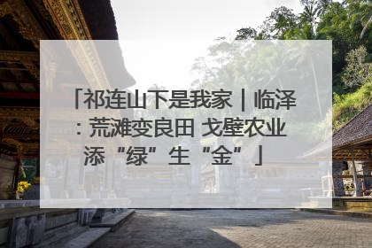 祁连山下是我家｜临泽：荒滩变良田 戈壁农业添“绿”生“金”