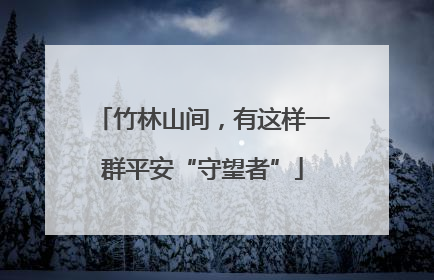 竹林山间，有这样一群平安“守望者”