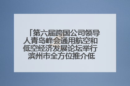第六届跨国公司领导人青岛峰会通用航空和低空经济发展论坛举行 滨州市全方位推介低空经济发展优势