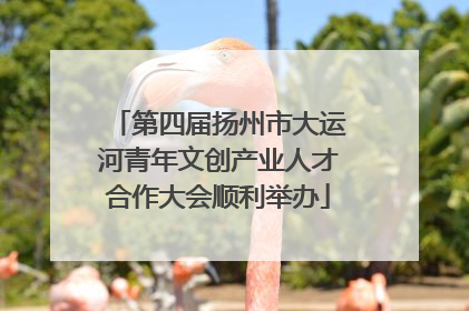 第四届扬州市大运河青年文创产业人才合作大会顺利举办