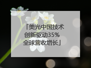 美光中国技术创新驱动35%全球营收增长