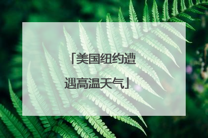 美国纽约遭遇高温天气