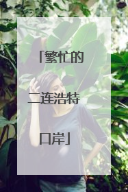 繁忙的二连浩特口岸