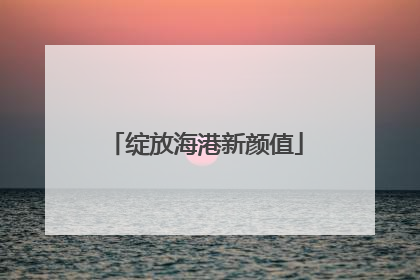 绽放海港新颜值
