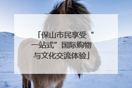 保山市民享受“一站式”国际购物与文化交流体验