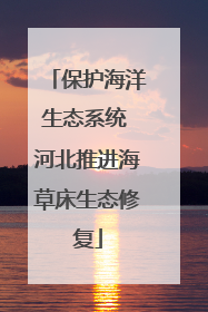 保护海洋生态系统 河北推进海草床生态修复