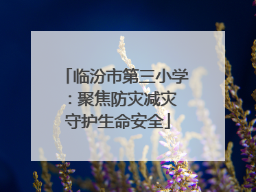 临汾市第三小学：聚焦防灾减灾 守护生命安全