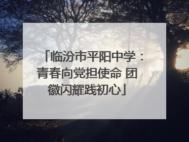 临汾市平阳中学：青春向党担使命 团徽闪耀践初心