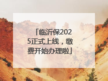 临沂保2025正式上线，缴费开始办理啦