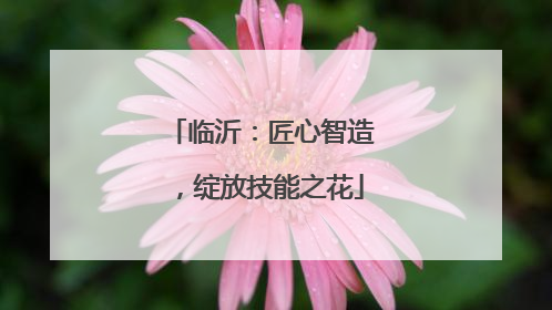 临沂：匠心智造，绽放技能之花