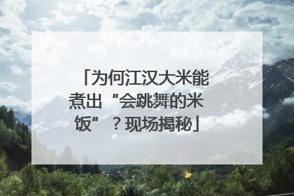 为何江汉大米能煮出“会跳舞的米饭”？现场揭秘