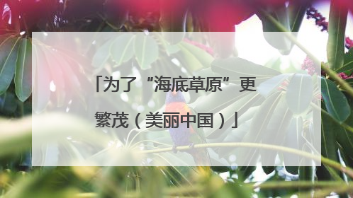 为了“海底草原”更繁茂（美丽中国）