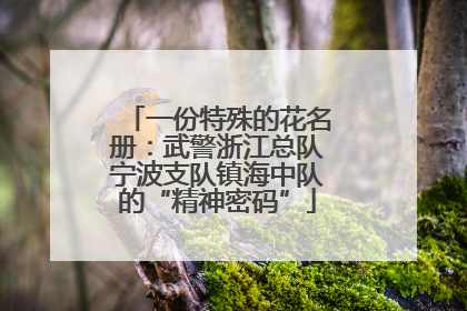 一份特殊的花名册：武警浙江总队宁波支队镇海中队的“精神密码”