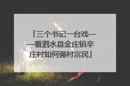 三个书记一台戏——看泗水县金庄镇辛庄村如何强村富民