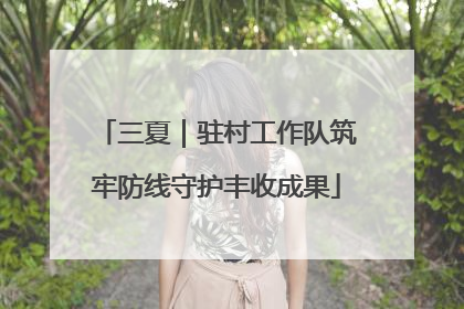 三夏｜驻村工作队筑牢防线守护丰收成果