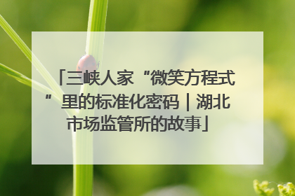 三峡人家“微笑方程式”里的标准化密码｜湖北市场监管所的故事