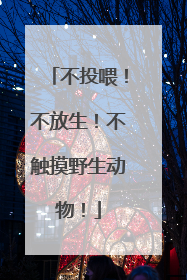 不投喂！不放生！不触摸野生动物！