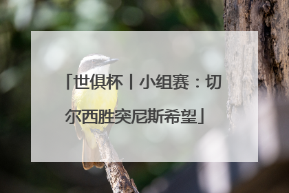 世俱杯丨小组赛：切尔西胜突尼斯希望