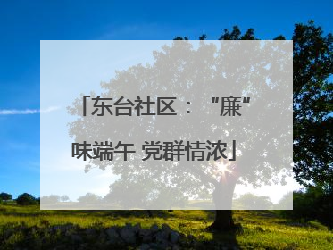 东台社区：“廉”味端午 党群情浓