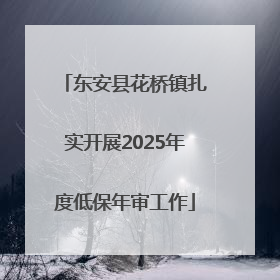东安县花桥镇扎实开展2025年度低保年审工作