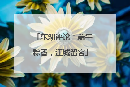 东湖评论：端午粽香，江城留客