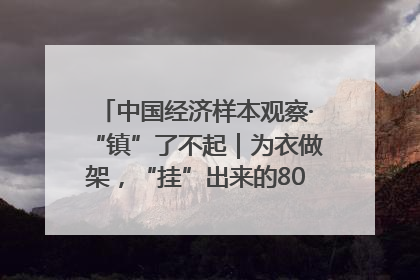 中国经济样本观察·“镇”了不起｜为衣做架，“挂”出来的80亿元“衣架产业”